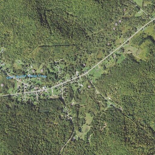 86-year-old woman fainted at home in Rixford