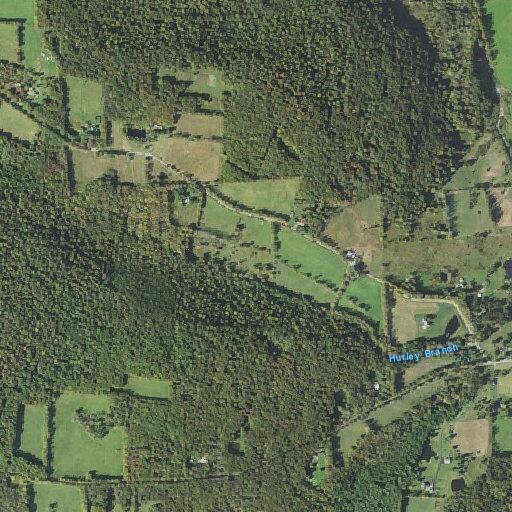 88-year-old male falls and is weak at Carmalt Lake Road