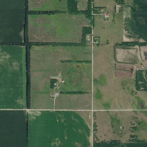 Small contained fire in shelter belt near Norfolk