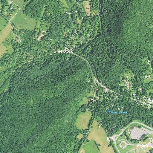 Male feeling dizzy near Lime Rock State in Salisbury