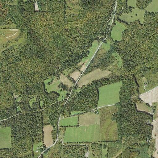 Female dragged by four-wheeler suffers multiple injuries