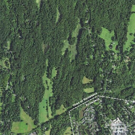 93-year-old woman suspected of stroke in Rhinebeck