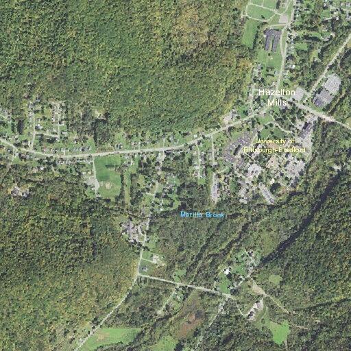 74-year-old woman with breathing difficulty at Bradford Manor