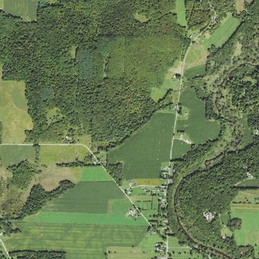 64-year-old male falls on Plank Road in Columbus