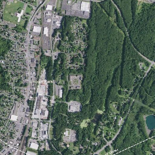 64-year-old woman with diabetic issue at Ulster Gardens Ct