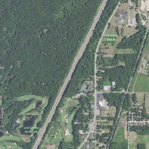 86-year-old man allergic to bug bite in Bridgman
