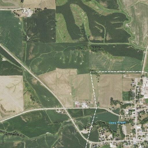 Downed tree brings down power lines, road closed