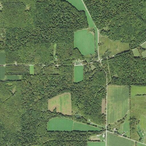 83-year-old female not alert at home on Happy Town Rd