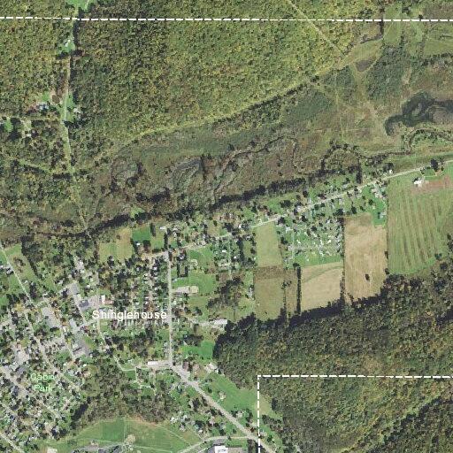 Nine-year-old male with chest pain near East Academy Street, Shinglehouse