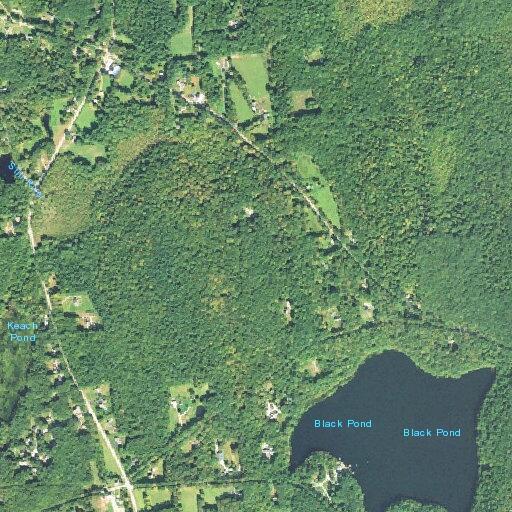 Unconscious female found near Camp Road