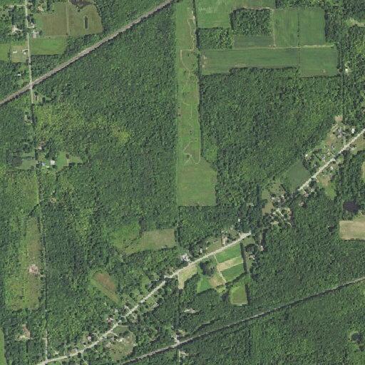 Male with fever near East Springfield
