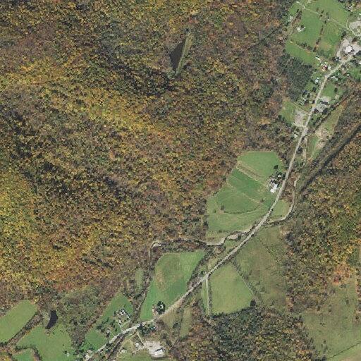 Woman with possible stroke near Country Acres Lane