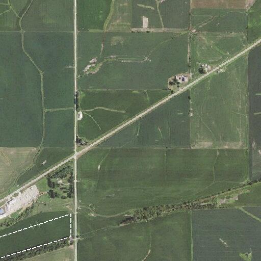 Cow loose near Highway 136 by Lost Nation