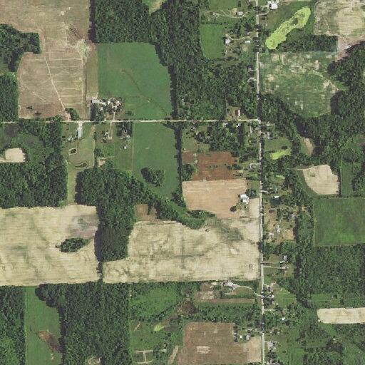 Domestic dispute and hand injury at Onsted home