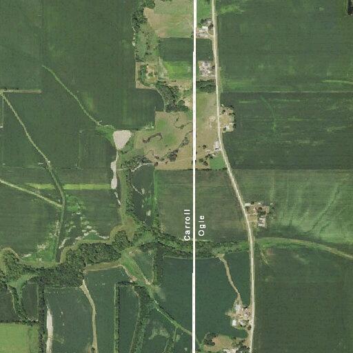 Unattended grass fire spreading into roadside trees