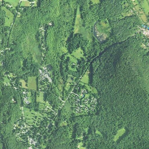 Male not alert at nursing home in litchfield county