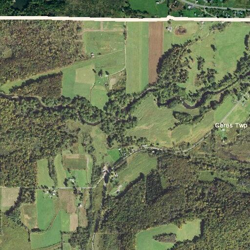 Elderly woman falls near Kings Run Road, suffers injuries