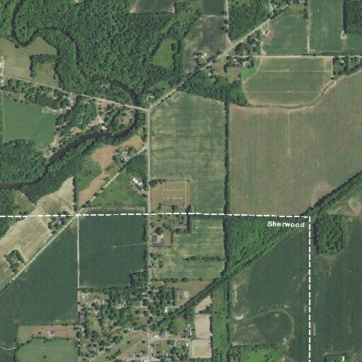 Teen bitten on finger by bat in Sherwood