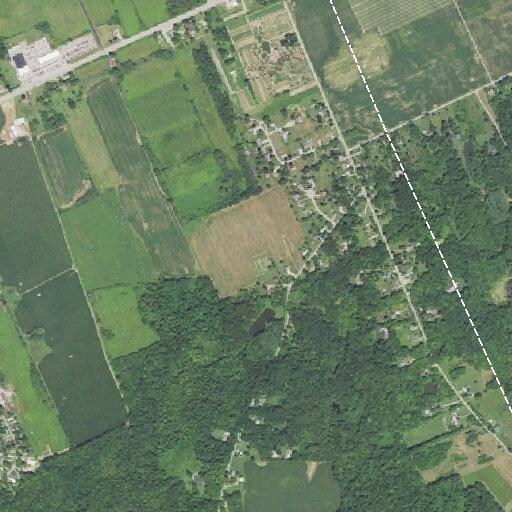 Tree resting on power line on Miller Road