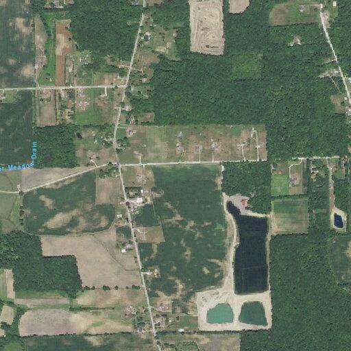 Neighbor accused of dumping fish remains in pond