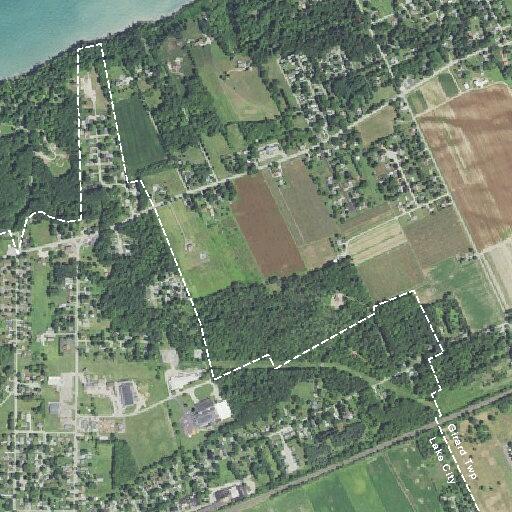 Elderly woman falls near Smith Street in Lake City