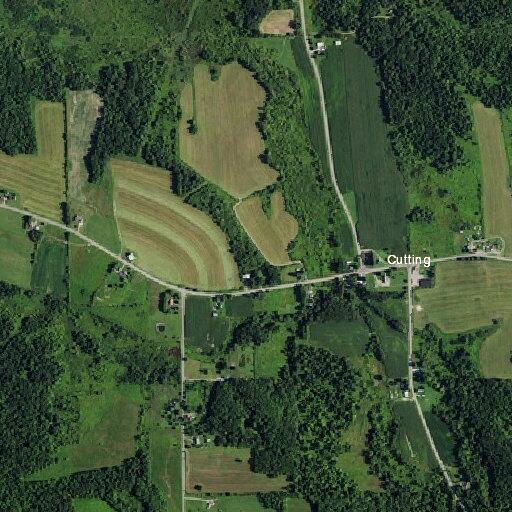 Teen girl with severe abdominal pain at Route 474