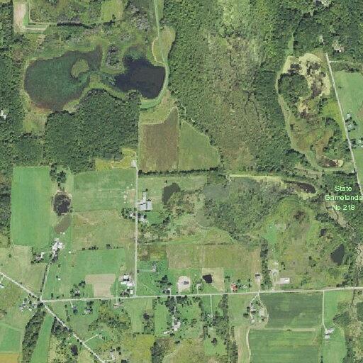 Person fallen near Dyer Road in Union City