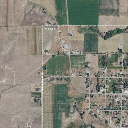 Driver hits deer on Highway 36 near Weston