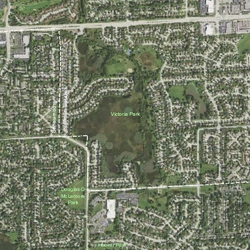 Elderly man with rectal bleeding in Hoffman Estates