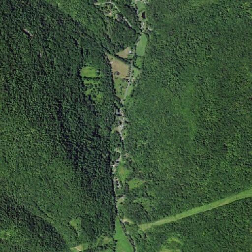 80-year-old female reported sick at Trout Brook Road