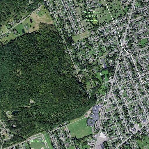 Loud music complaint on Orchard Park Road