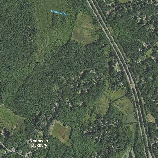 Woman falls and hits head near Plantation Drive