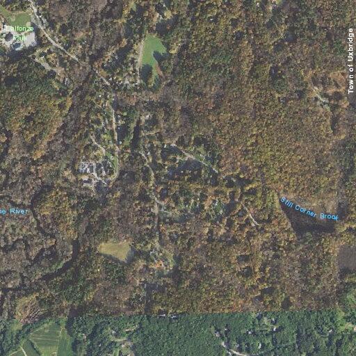 Officer checks parked vehicle in wooded area