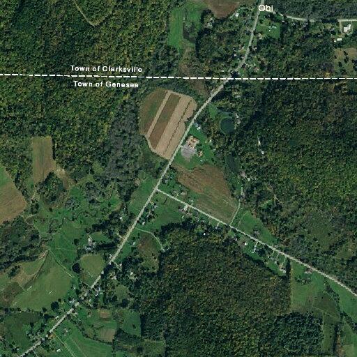 55-year-old female with general illness at Route 305