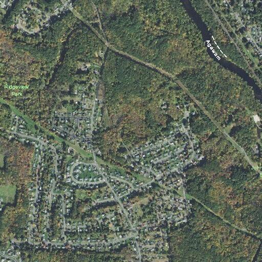 100-year-old man with leg and groin pain at Fox Farms Rd