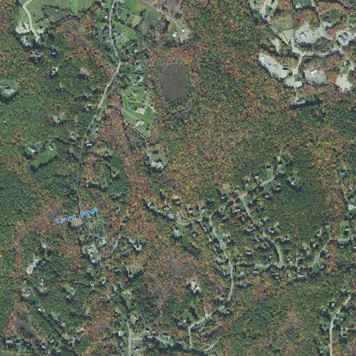 Elderly female fainted and fell near Carpenter Hill Road