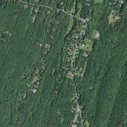 Teen allergic reaction to nuts at campground