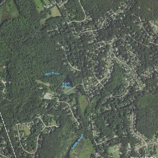 Welfare check requested at park street residence