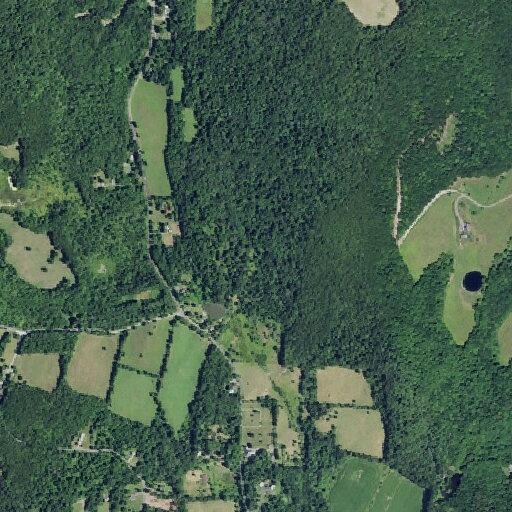 Car struck deer near West Copake Reformed Church