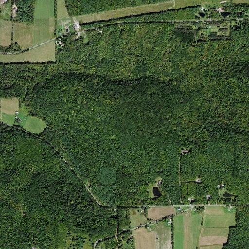 Intoxicated woman lost in woods after fight at Ackley Road