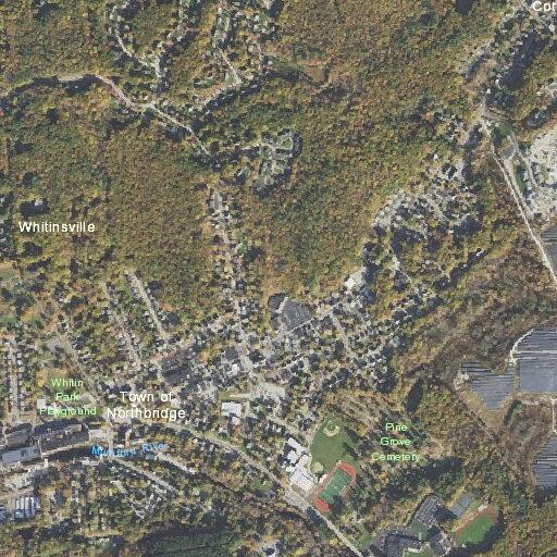 77-year-old woman fell with possible broken femur