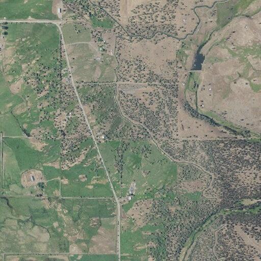 Loose cow reported on East Langell Valley Road