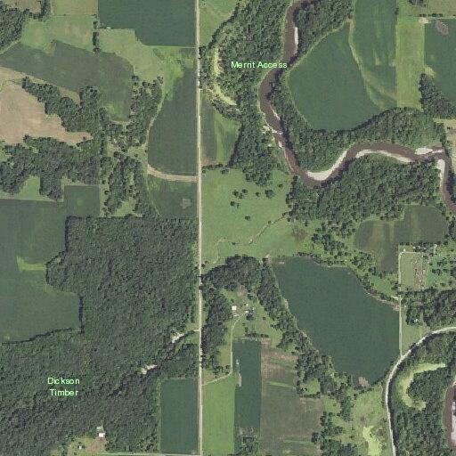 Loose cattle reported near Dixon Timbers area