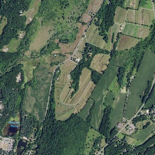Motorcycle crash into ditch on Farm Road in Copake