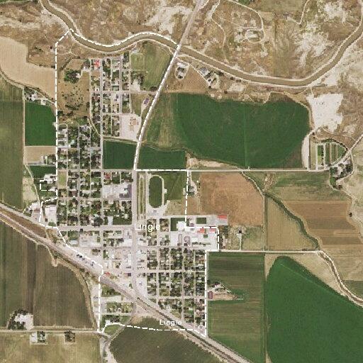 Fallen branches found cold near Lingle fire hall