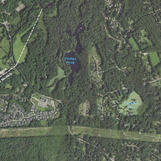 40-year-old woman unconscious after dog incident