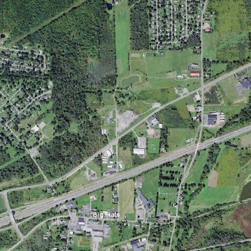Bear spotted near Big Flats Elementary School