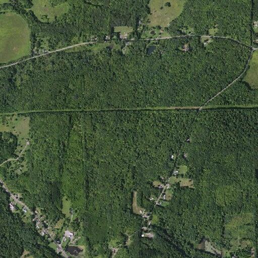 Report of 17-year-old runaway on Ridge Road