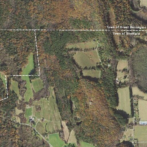 Fire alarm activation on Lime Kiln Road