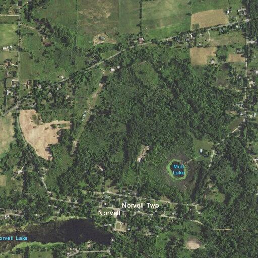 Domestic dispute in vehicle at Norvell business